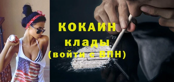 эйфоретик Гусь-Хрустальный