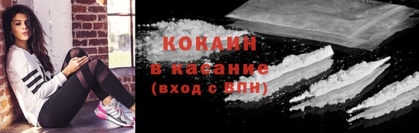 эйфоретик Гусь-Хрустальный