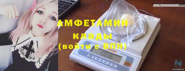 эйфоретик Гусь-Хрустальный