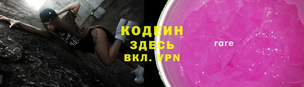 эйфоретик Гусь-Хрустальный