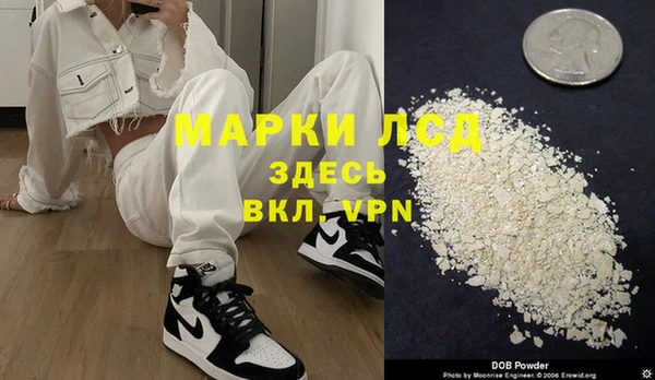 эйфоретик Гусь-Хрустальный