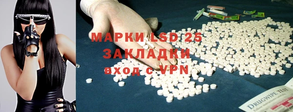 эйфоретик Гусь-Хрустальный