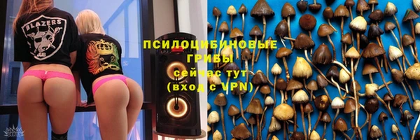 экстази Гусев